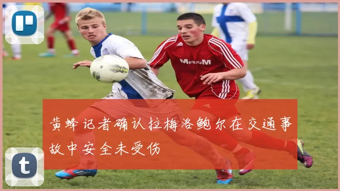 黄蜂记者确认拉梅洛鲍尔在交通事故中安全未受伤