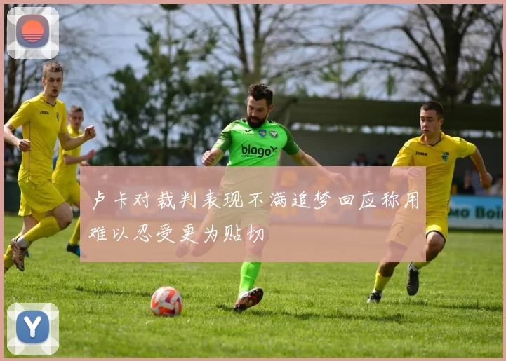 卢卡对裁判表现不满追梦回应称用难以忍受更为贴切